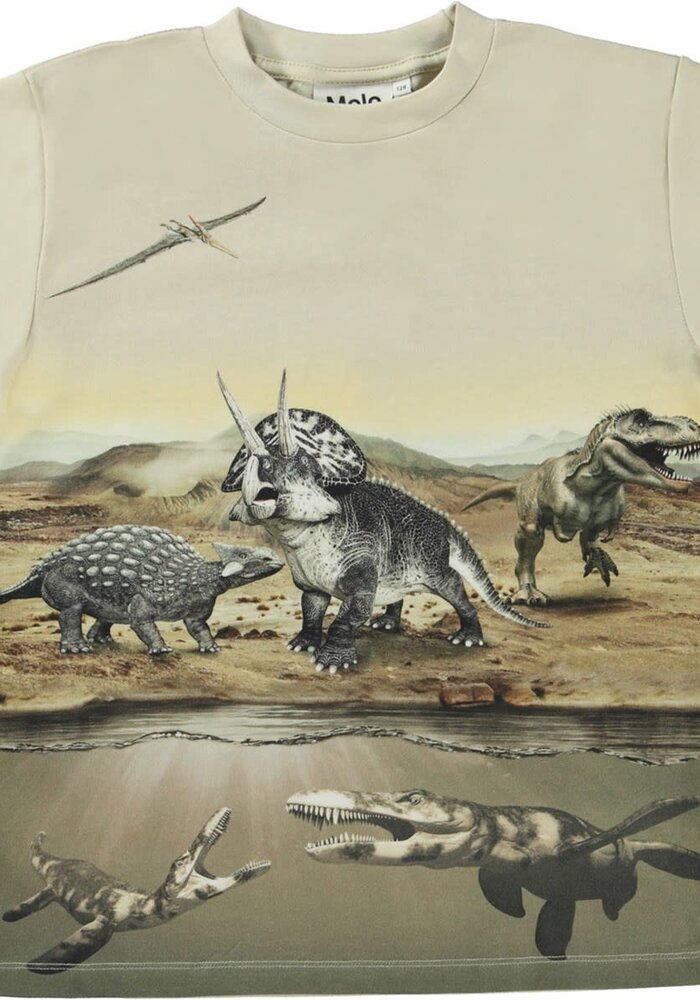 Molo Roxo Desert Dinos