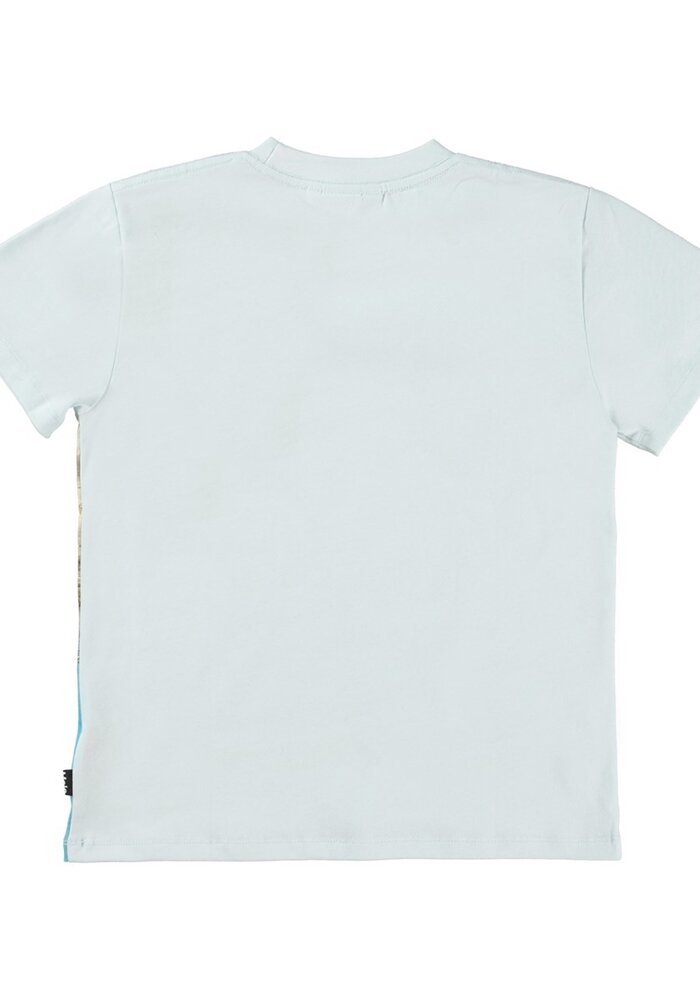 Molo Roxo Carnivores