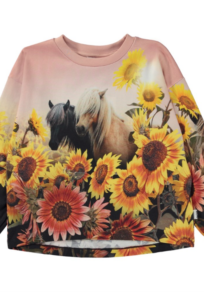 MOLO Reniza Pony Sunflowers