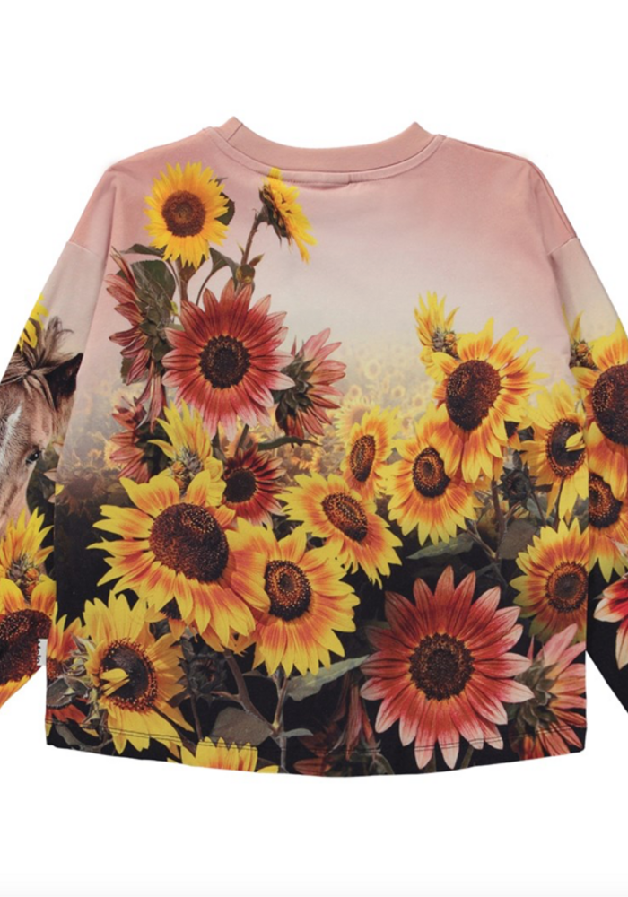 MOLO Reniza Pony Sunflowers