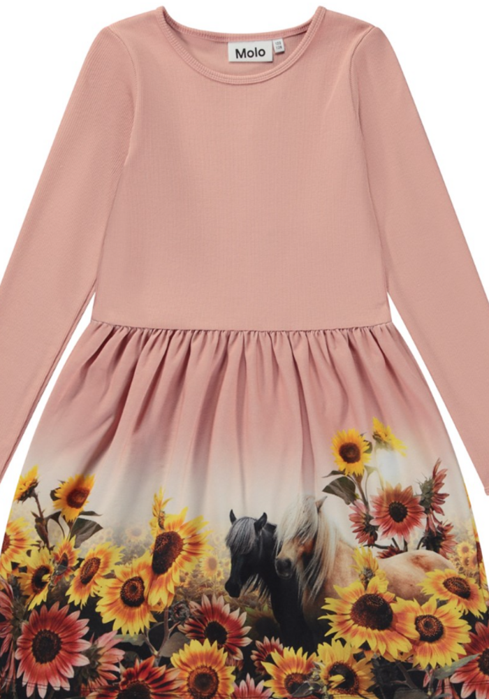 MOLO Credence Sunny Ponies