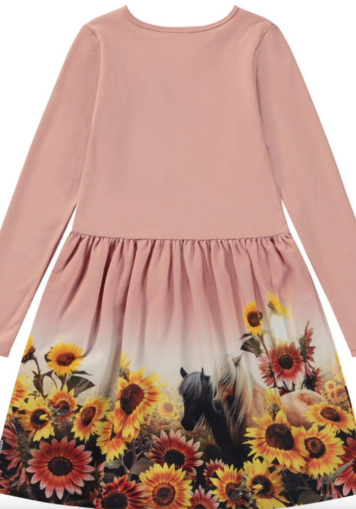 MOLO Credence Sunny Ponies