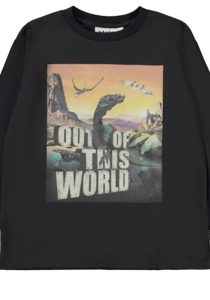 Molo Rube Strange world