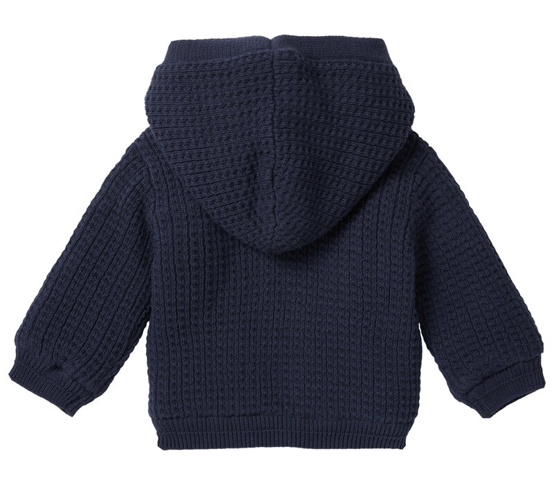 Noppies Boys cardigan Takoma long sleeve Black Iris