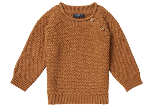 Noppies Noppies Boys pullover Trumbull long sleeve Chipmunk