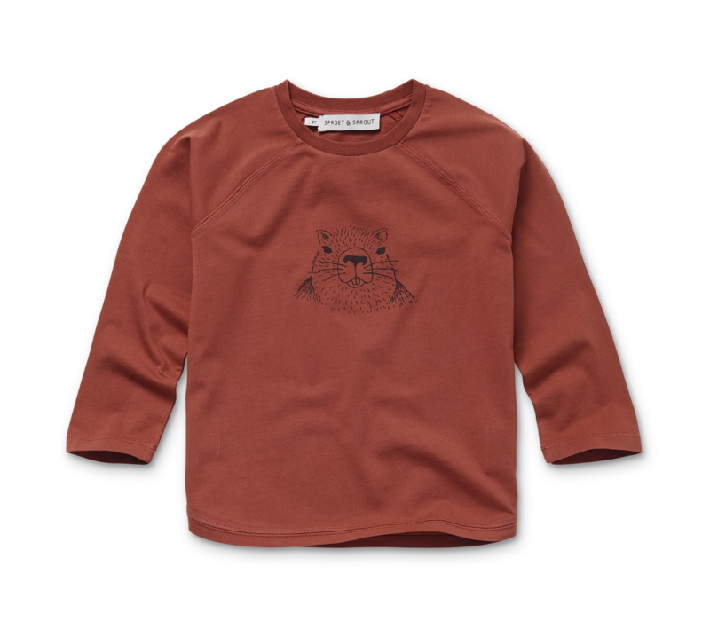 Sproet & Sprout T-shirt raglan Marmot  Barn red