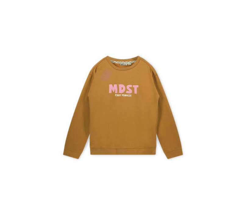 Moodstreet Girls chest print sweater Camel