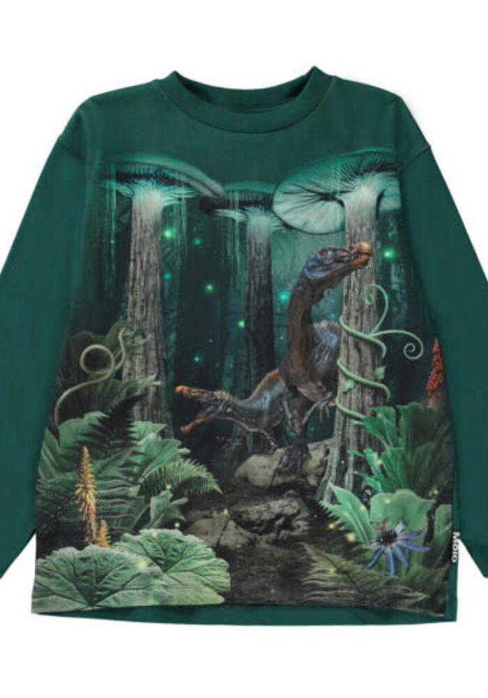 Rube Nighttime Dinos