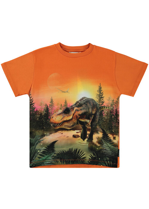 Molo Riley Dino lake