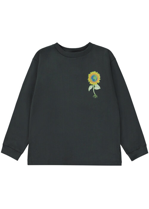 Molo Rube Under the Sun