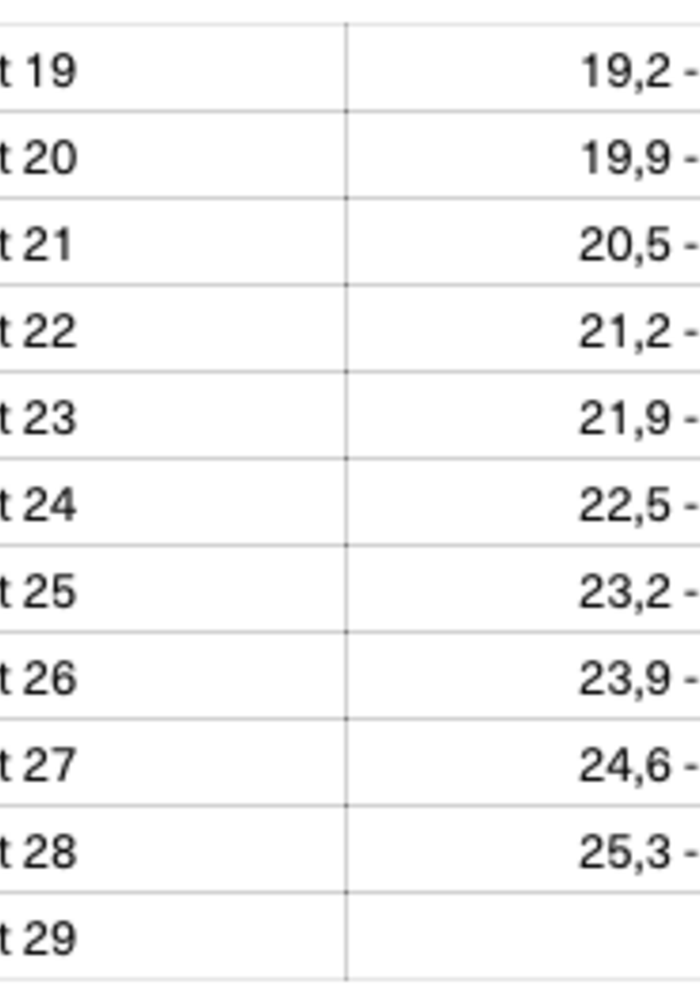 Bootstock Hearts Purple kids