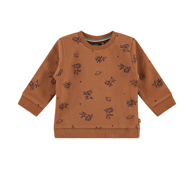 Babyface baby boys sweatshirt clay