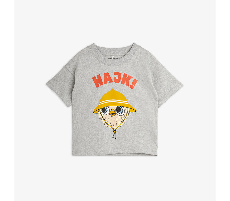 Mini Rodini Hike sp ss tee Grey melange