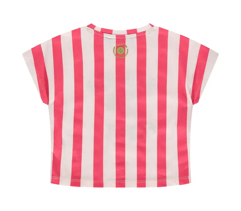 Babyface girls t-shirt short sleeve teaberry