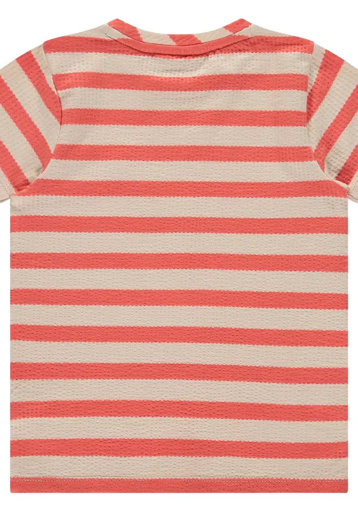 Babyface boys t-shirt short sleeve grapefruit