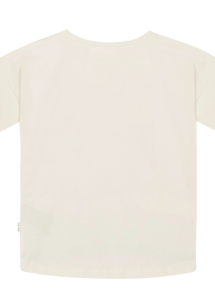 Molo Raeesa Horse on Beach