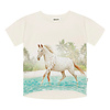 Molo Molo Raeesa Horse on Beach