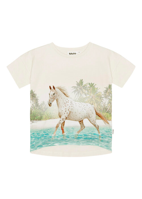 Molo Molo Raeesa Horse on Beach