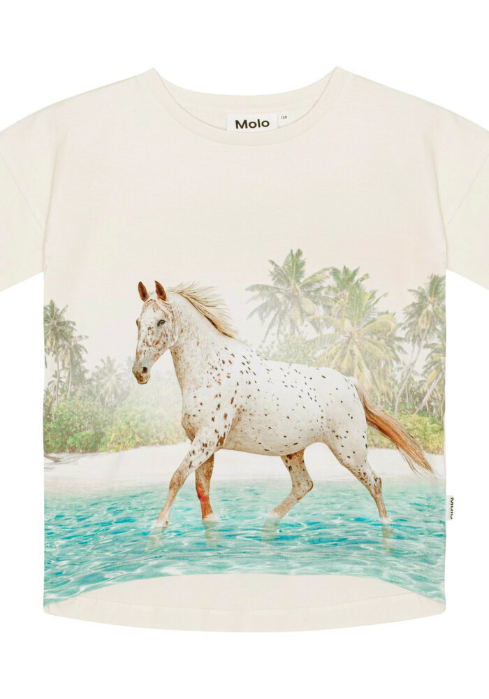 Molo Raeesa Horse on Beach