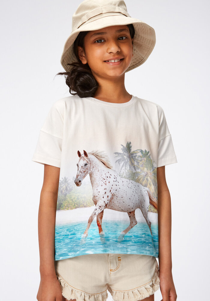 Molo Raeesa Horse on Beach