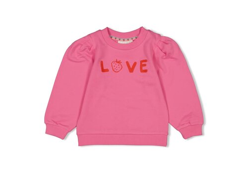 Jubel Jubel Sweater - Berry Nice Roze