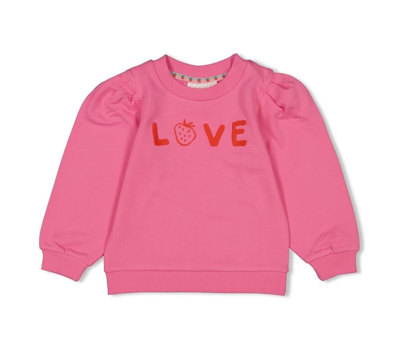 Jubel Sweater - Berry Nice Roze