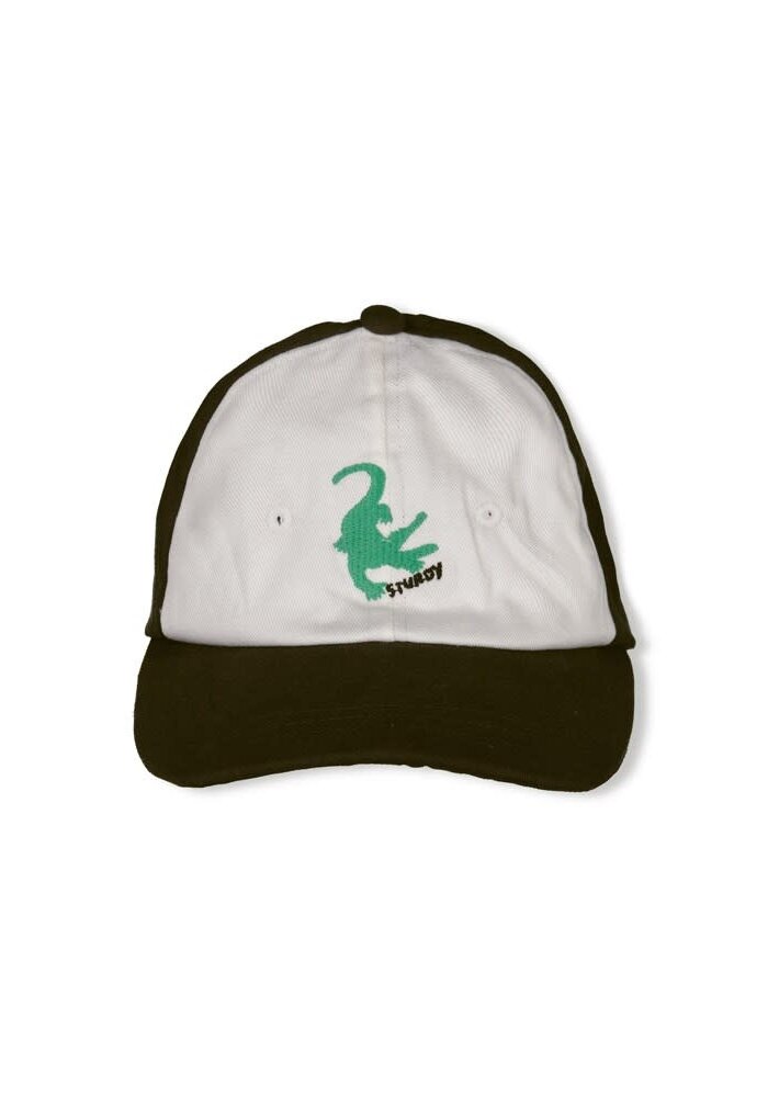 Sturdy Pet - Gone Surfing Antraciet