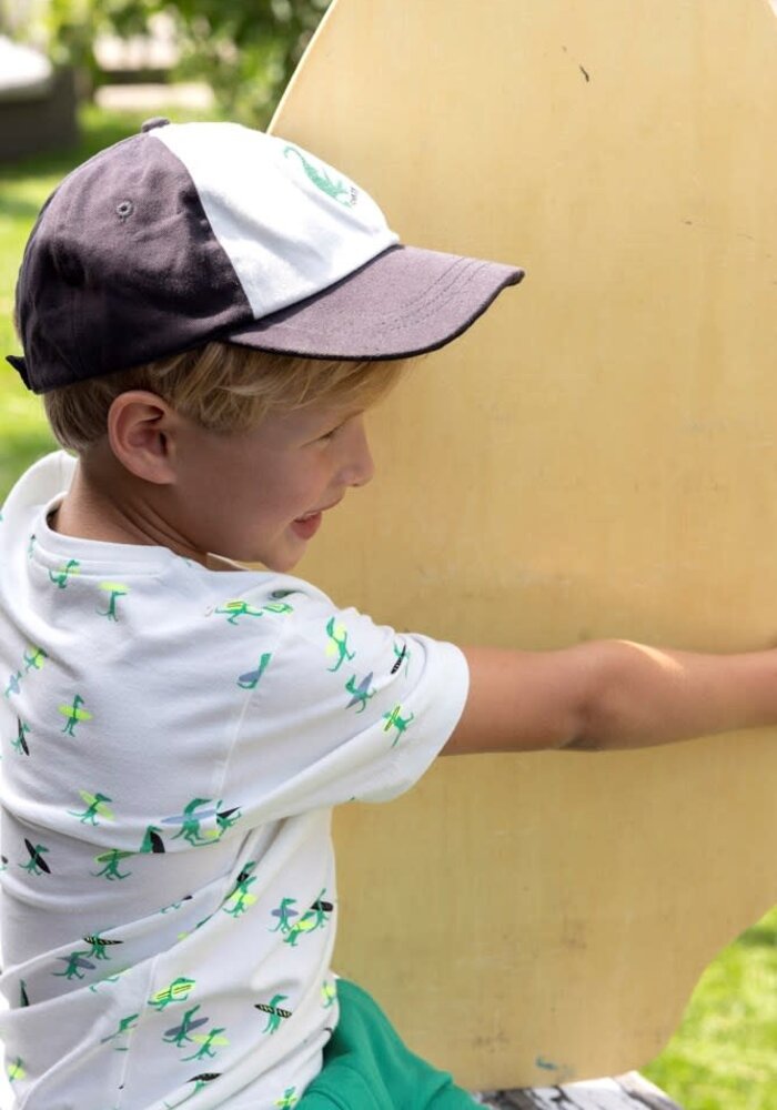 Sturdy Pet - Gone Surfing Antraciet