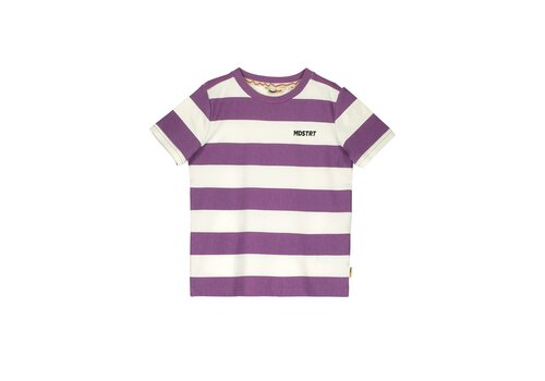 Moodstreet Moodstreet Boys t-shirt striped Grape