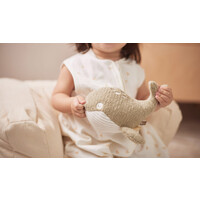 Jollein Activity Toy Walvis