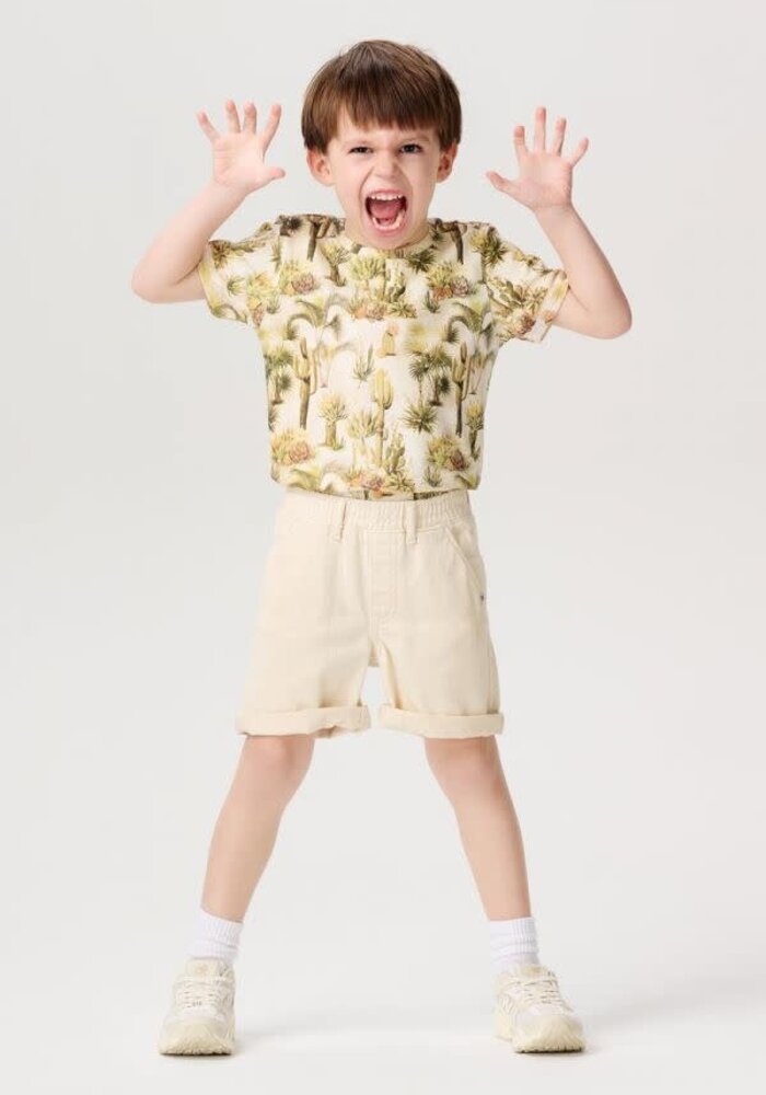 Noppies Boys Tee Decherd short sleeve all over print Whisper White