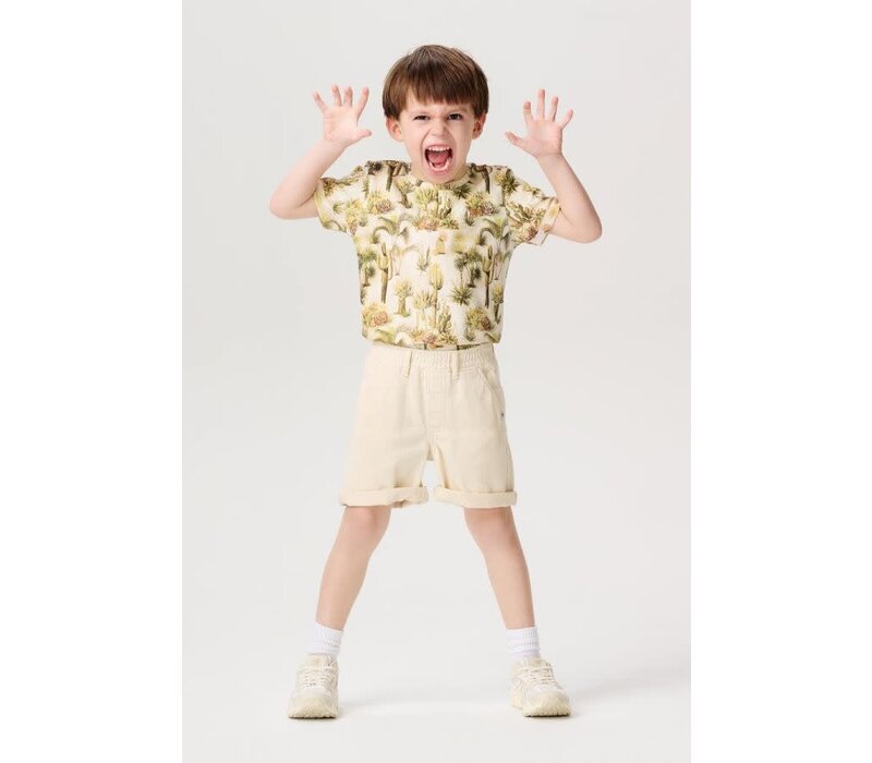 Noppies Boys Tee Decherd short sleeve all over print Whisper White