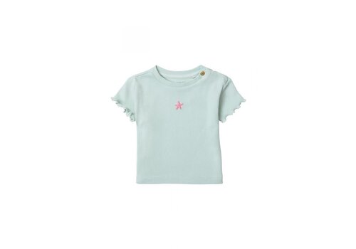 Noppies Noppies Girls Tee Chesterton short sleeve Smoke