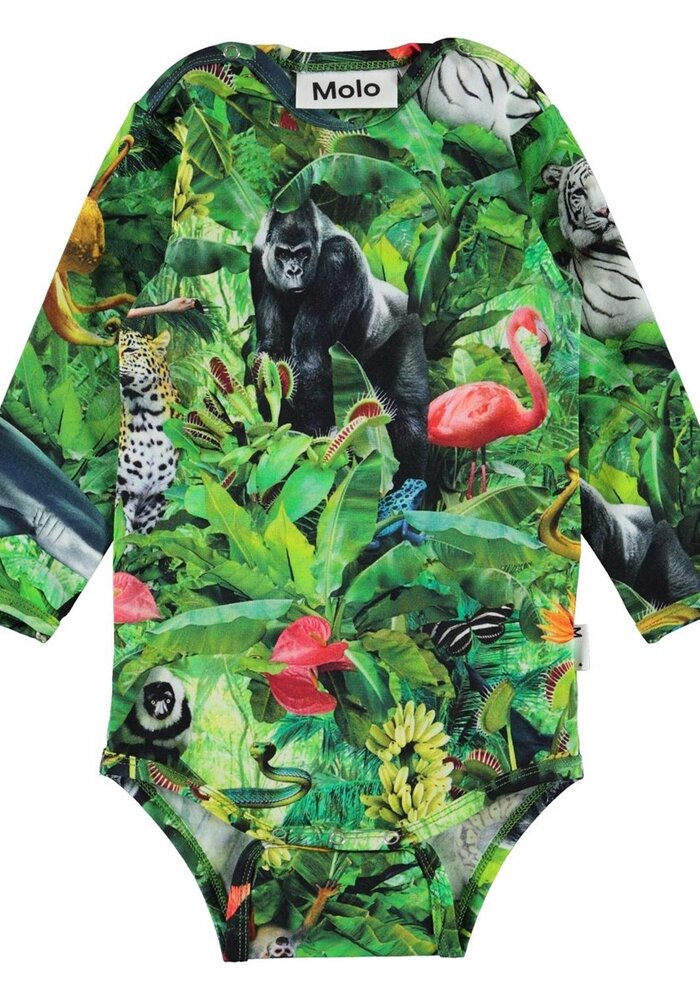 Molo Field Fantasy Jungle