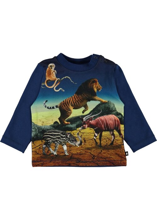 Molo Molo Enovan Wild Future