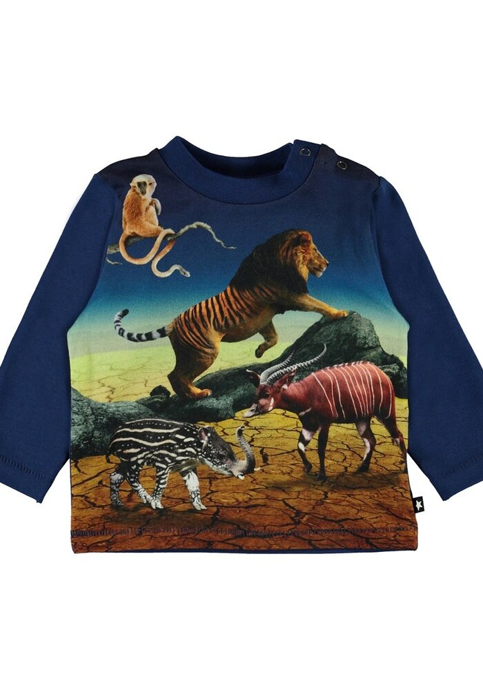 Molo Enovan Wild Future