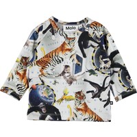 Molo Ewald No Gravity