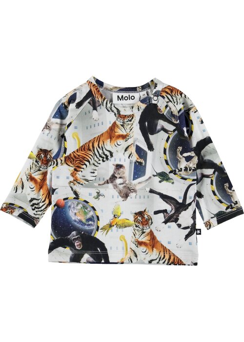 Molo Molo Ewald No Gravity