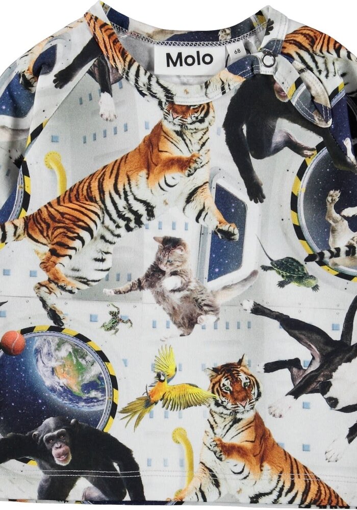 Molo Ewald No Gravity