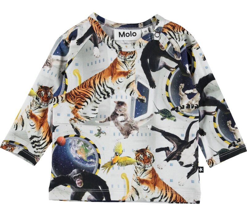 Molo Ewald No Gravity