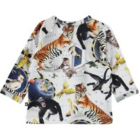 Molo Ewald No Gravity