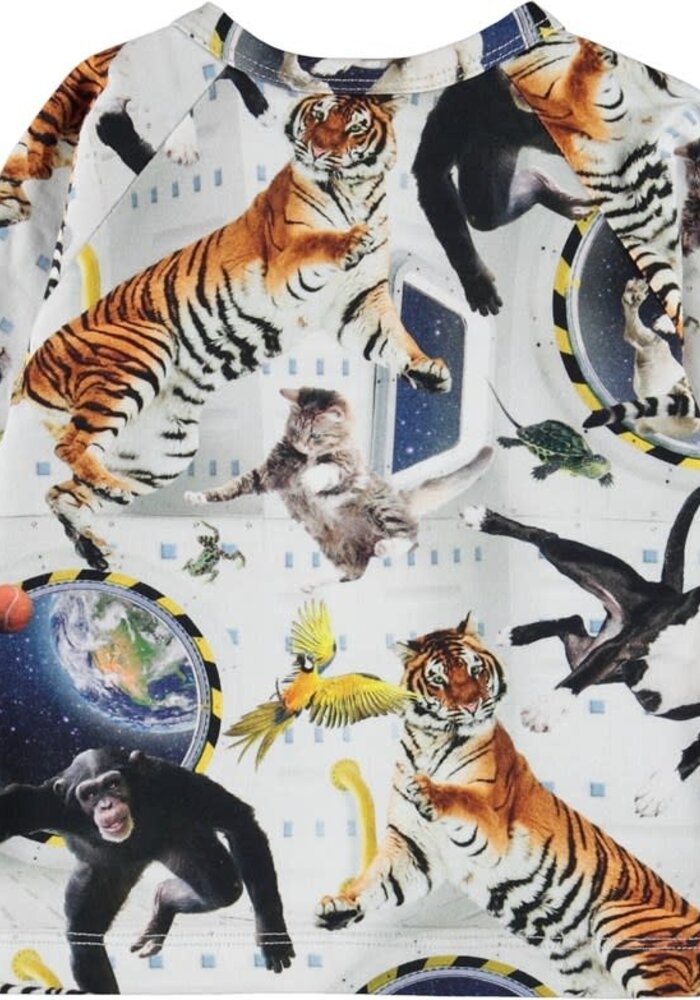 Molo Ewald No Gravity