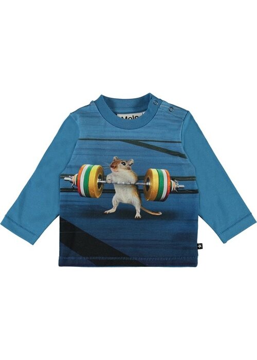 Molo Molo Enovan Small But Strong