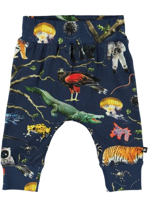 Molo Molo Sammy Tree of Life