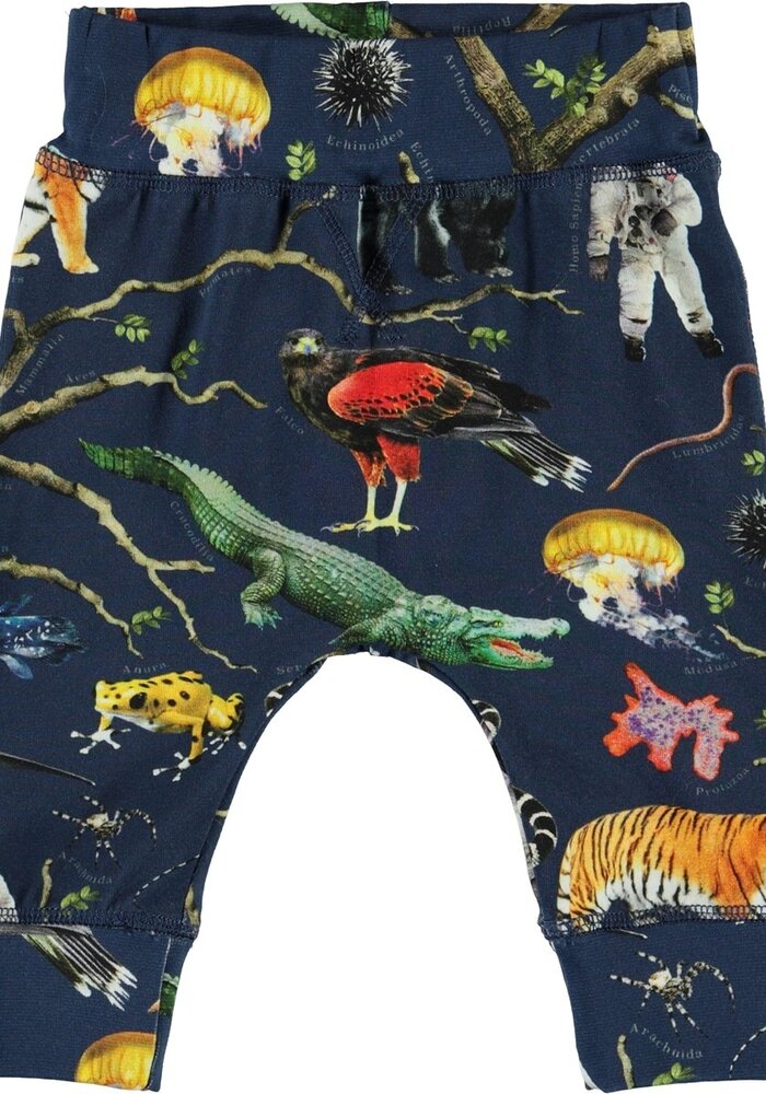 Molo Sammy Tree of Life