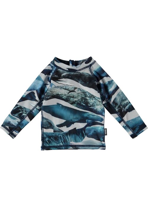 Molo Molo Nemo Whales