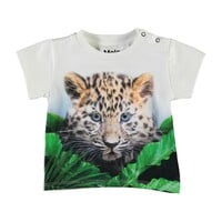 Molo Emilio Jungle Cub