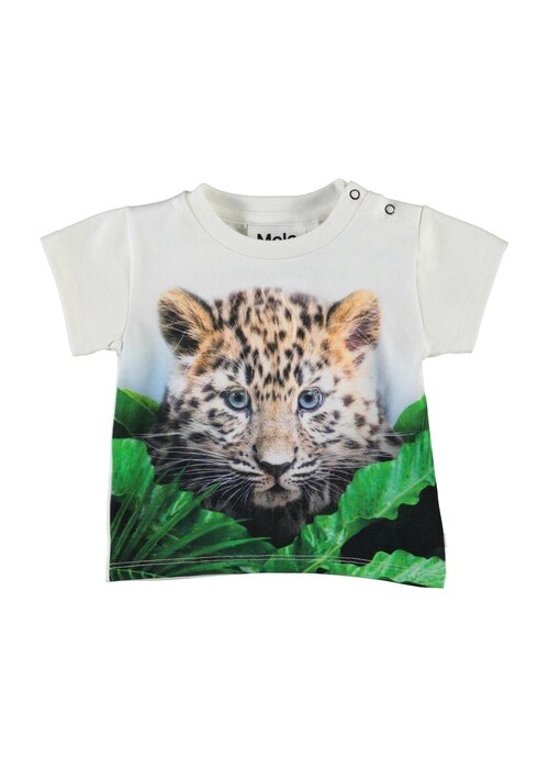 Molo Molo Emilio Jungle Cub