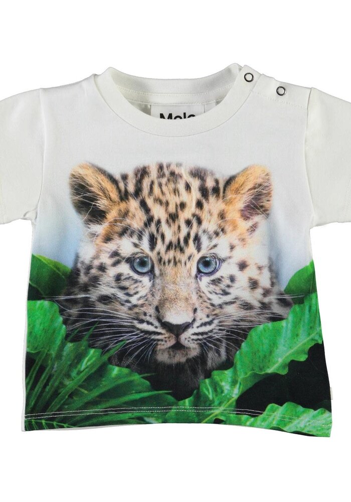 Molo Emilio Jungle Cub