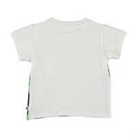 Molo Emilio Jungle Cub